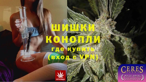 прущие грибы Вязьма