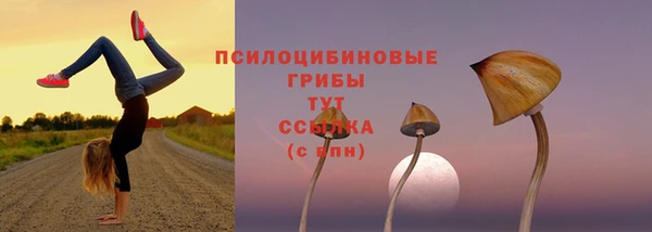 apvp Вязники