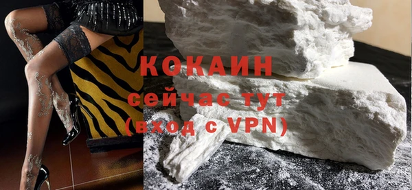 прущие грибы Вязьма