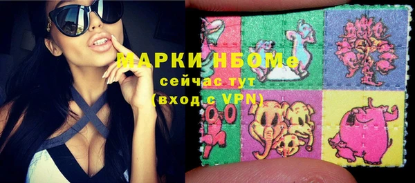 прущая мука Вяземский