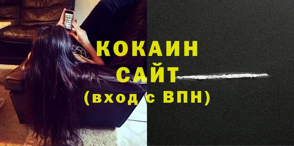 прущая мука Вяземский