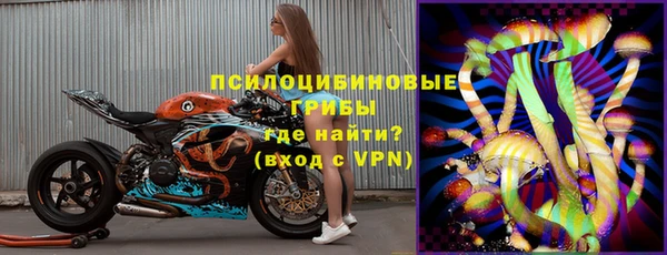 прущие грибы Вязьма