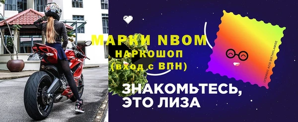 прущие грибы Вязьма