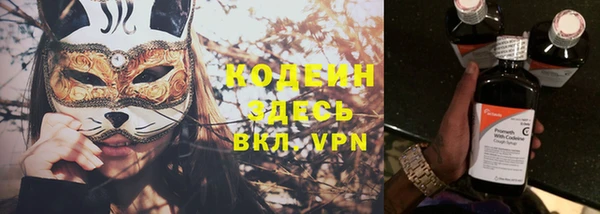 прущие грибы Вязьма