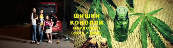 прущие грибы Вязьма