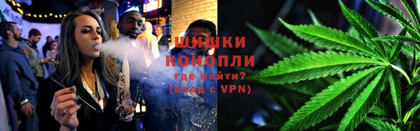 прущая мука Вяземский