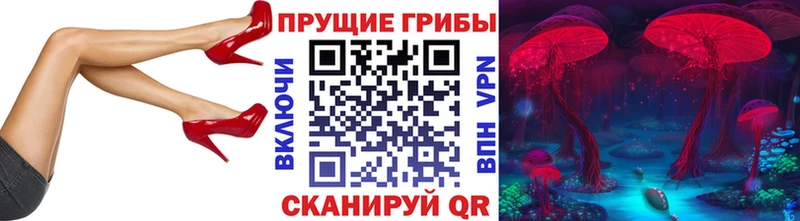 Купить  Надым  Псилоцибиновые грибы Magic Shrooms 